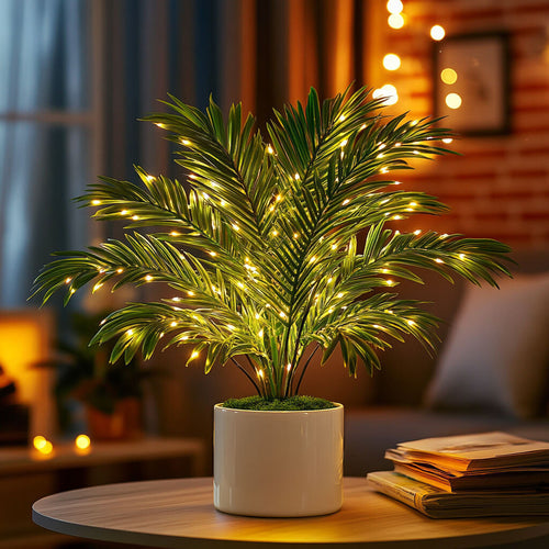 Palmeira Luminosa em Vaso