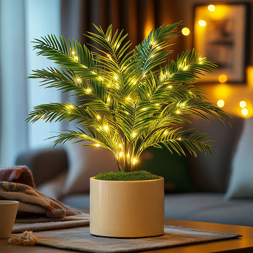 Palmeira Luminosa em Vaso