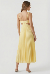Karina | Elegantné plisované maxi šaty